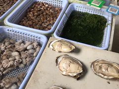 -大湾区中央湿地公园-十九涌