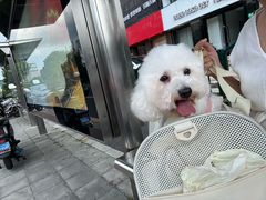 -爱妮康宠物医院·干细胞免疫细胞·肿瘤·心脏(张江店)