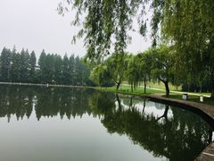-天目湖山水园
