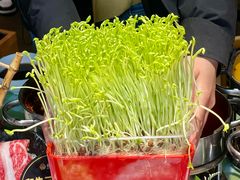 -番食园鲜食火锅(高新店)
