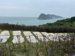 -东澳岛