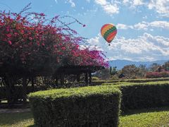 -中国科学院西双版纳热带植物园