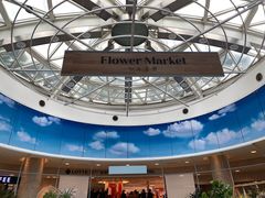 -乐天免税店(明洞店)