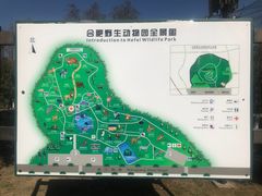 -合肥野生动物园
