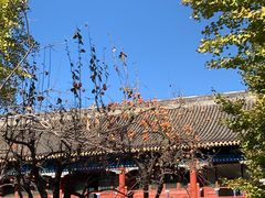 -北京石刻艺术博物馆(五塔寺)