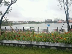 -上海长兴岛郊野公园