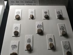 -古陶文明博物馆