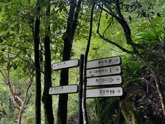 -刘伯温故里景区百丈漈