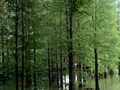 -南宁花花大世界景区