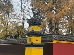 -宝光寺