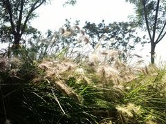 -汉长安城未央宫国家考古遗址公园