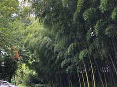 -苏州环秀晓筑养生度假村