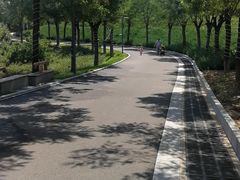-河北省园博园