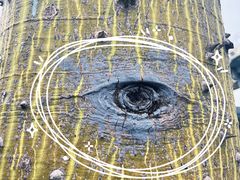 -怡海公园(桂城街道)