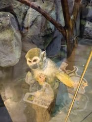 -未来动物城主题公园(正弘城店)