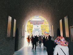 -渭南桃花源民俗文化园