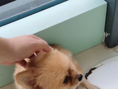 -怪兽屋·羊驼·猫咖·狗咖(俊华广场店)