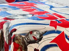 -成都天府丽都喜来登饭店