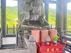 -大唐贡茶院