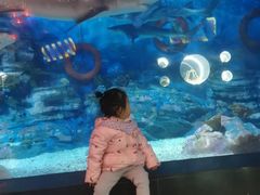 -烟台海昌鲸鲨海洋公园