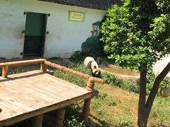 -无锡动物园·太湖欢乐园