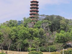 -红花山公园