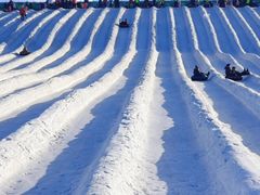 -绿野森林乐园冰雪季