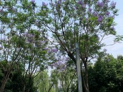 -宜家家居(高新商场店)