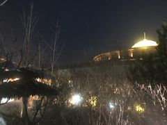 -大连金石滩绿发温泉假日酒店