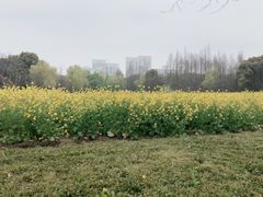 -星视野儿童近视弱视视力训练中心(富荟店)