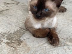 -美家乐农庄·露营·团建(大治路店)