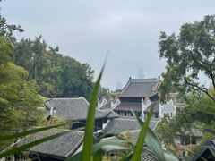 -茶颜悦色(登高路上店)