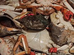 -一方渔歌蒸汽海鲜自助(文化路万达广场店)