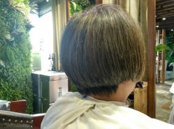 -V-STAR威斯达•高级私人定制