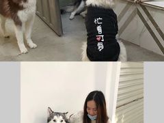 -星多哈·狗咖·拼豆·咖啡