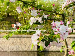 -元大都城垣遗址公园