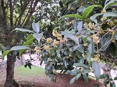 -方山风景区定林寺