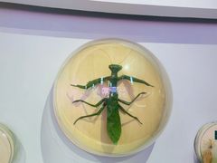 -陕西自然博物馆