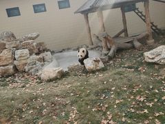 -石家庄市动物园