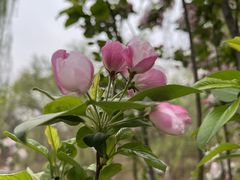 -元大都城垣遗址公园