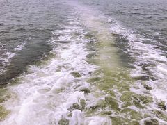 -金梦海湾浴场