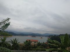 -广州市流溪河国家森林公园