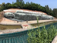 -三水森林公园