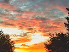 -星巴克(济宁万达广场店)