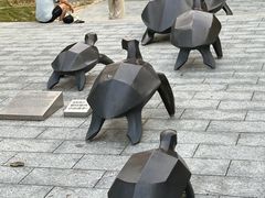 -广东惠东海龟国家级自然保护区