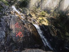 -莫干山风景区