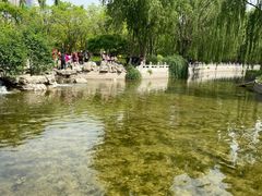 -莲花池公园