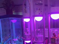-巴特餐饮6加1音乐餐吧·新疆菜