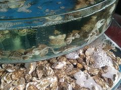 -蓝珊甄选海鲜自助·火锅大排档(近阿那亚店)