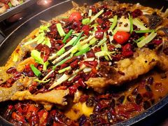 -老板恋上鱼(恒隆广场店)